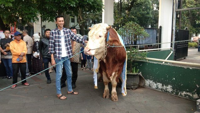 img_20250606_072604-4037731