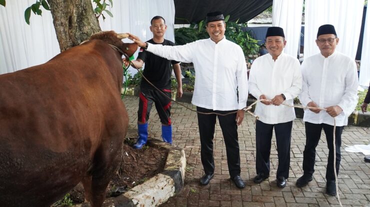 pendistribusian-hewan-kurban-bsi-capai-15-272-ekor-di-iduladha-1446-hijriah-3871881-8952055-jpeg