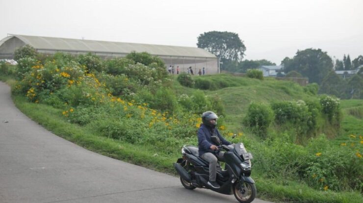 adv-yamaha-utamaok-2605403-1642873-jpg