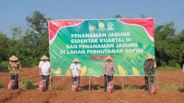 1001126736-5866725-4698033-jpg