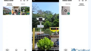 blueline-status-saver_-8737778-webp-2421095-webp