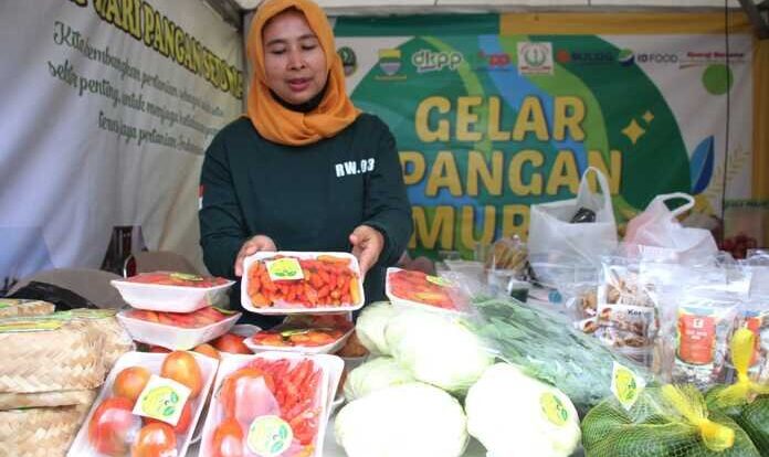 img-2025080181-7411076-8613477-jpg