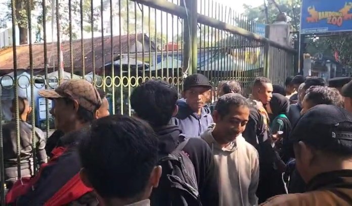 img_20250806_113453-1979267-6837747-jpg