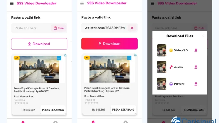 sss-video-downloader_-8118330-webp-1004204-webp