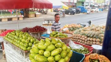 manfaatkan-kur-bri-pedagang-nanas-ini-sukses-kembangkan-produk-olahan-yang-diminati-pasar-8878854-5560502-jpeg