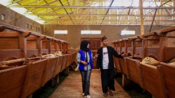 penyaluran-kur-bri-dorong-setengah-juta-pengusaha-umkm-naik-kelas-5292393-1965016-jpeg