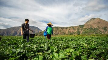 peringati-hari-tani-nasional-bri-perkuat-dukungan-bagi-sektor-pertanian-melalui-akses-pembiayaan-dan-pemberdayaan-inklusif-4309463-4308651-jpeg