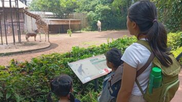 bandungzoo-3274016-3771096-jpeg