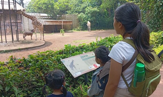 bandungzoo-3274016-3771096-jpeg
