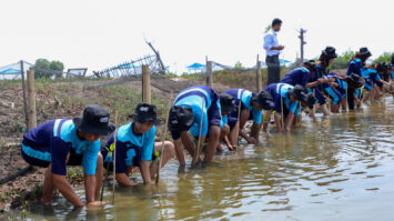 bri-ajak-generasi-muda-jaga-ekosistem-lingkungan-melalui-penanaman-mangrove-dan-pengelolaan-limbah-plastik-5275857-2108680-jpeg