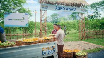 program-desa-brilian-6794207-4139172-jpeg
