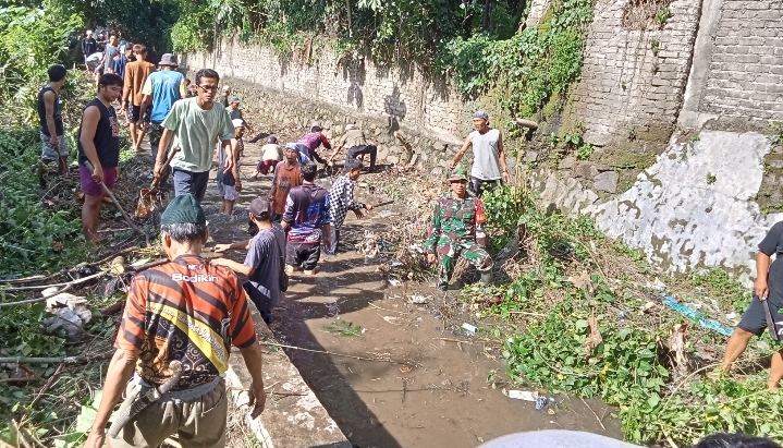 screenshot_20251110_054402_whatsapp-2643220-4433031-jpg