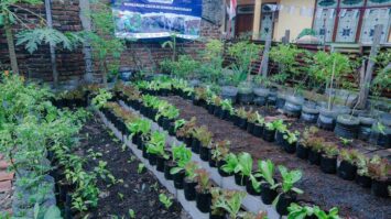 img-202512020211-5146428-7823943-jpg