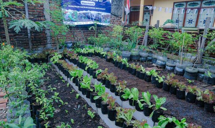 img-202512020211-5146428-7823943-jpg