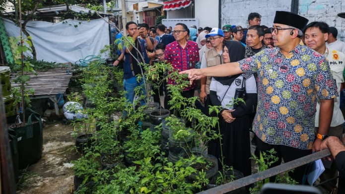 img_20251213_083449-6113417-4253427-jpg