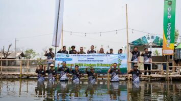 jaga-alam-tingkatkan-kualitas-hidup-bank-bjb-tanam-10-000-mangrove-di-subang-7802897-4923512-jpeg