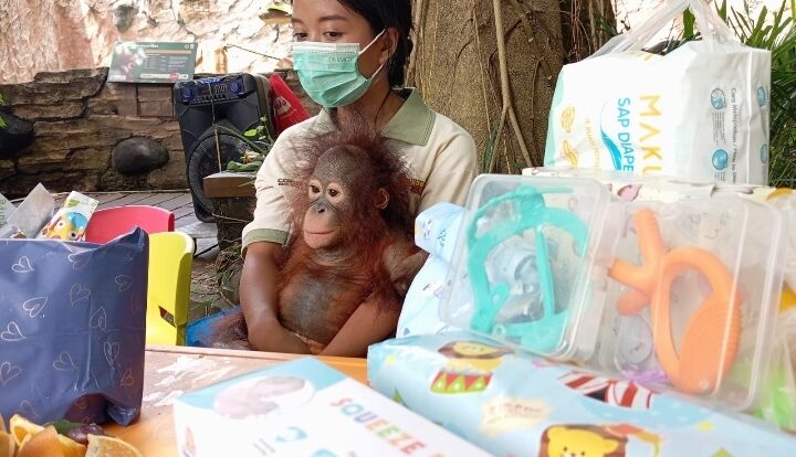 screenshot_20251213_130007_whatsapp-5653714-2533477-jpg