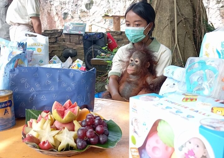 screenshot_20251213_130029_whatsapp-6251930