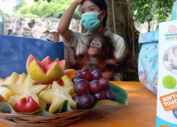 screenshot_20251213_130040_whatsapp-6151555