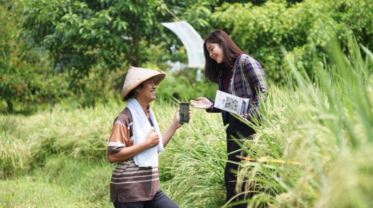 bri-2-2078329-3291539-jpeg