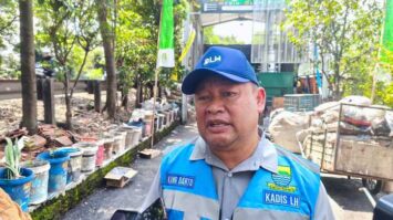 darto-6699886-7114755-jpeg